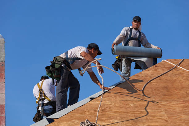 Best Heating Cable for Roof Installation  in Woodhaven, MI