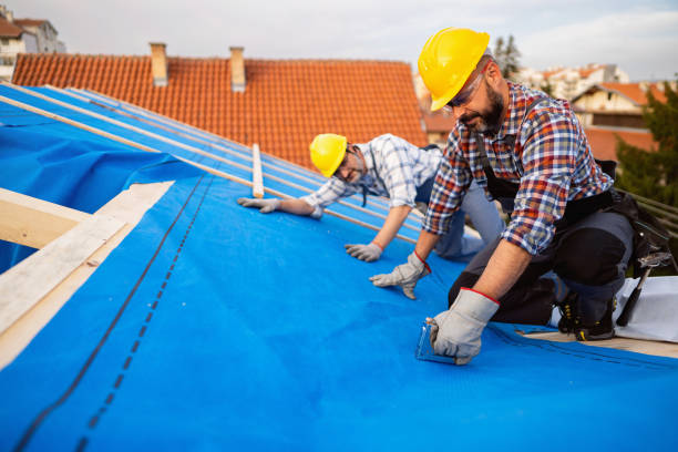 Best Shingle Roofing Installation  in Woodhaven, MI