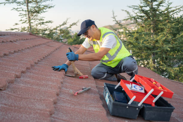 Quick and Trustworthy Emergency Roof Repair Services in Woodhaven, MI