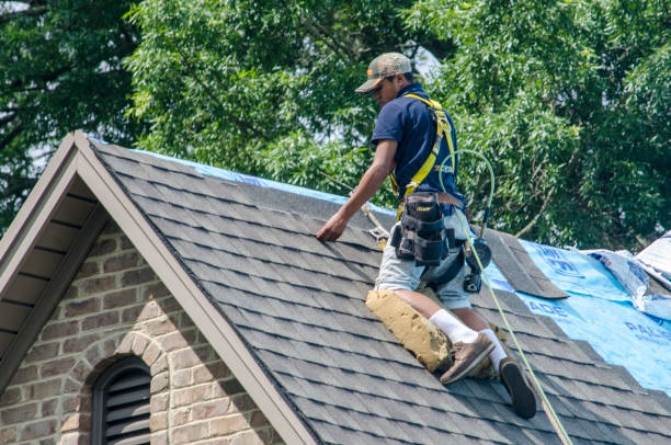 Best Roof Leak Repair  in Woodhaven, MI