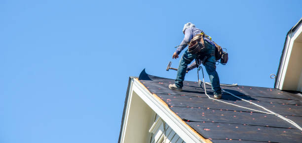 Best Roof Repair Services  in Woodhaven, MI